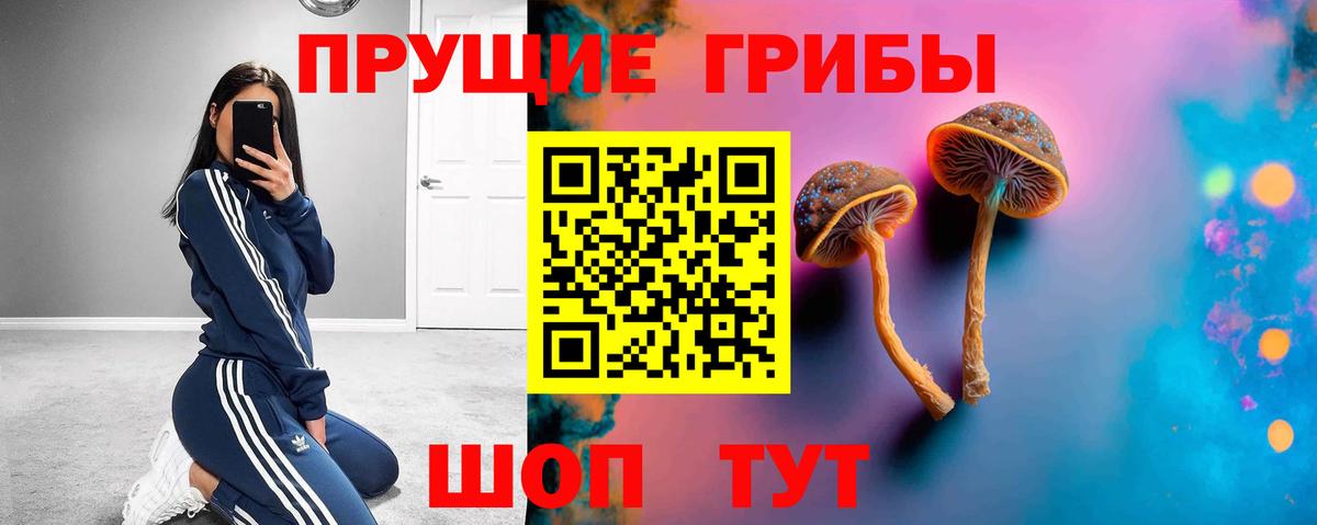 Галлюциногенные грибы ЛСД Изобильный